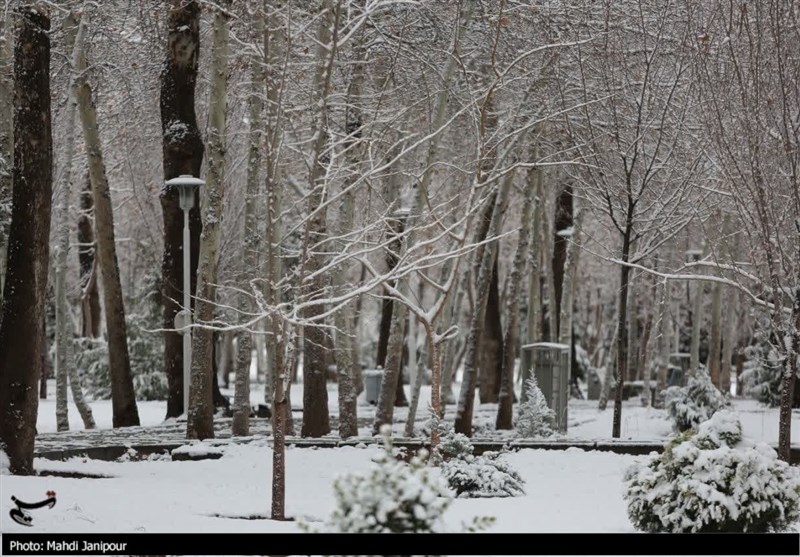 برف و باران اصفهان را فرا میگیرد / اخبار اصفهان - اخبار استانها