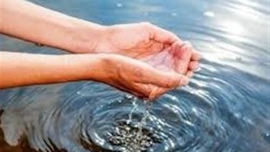 صدور فتوا بر ضرورت صرفهجویی در مصرف آب لازم است / اخبار قم - اخبار استانها