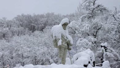 ضیافت برف در قلب کویر/ از شکرانه کشاورزان تا انسداد جادهها / اخبار خراسان جنوبی - اخبار استانها