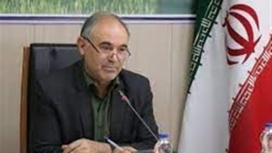 رعایت اصول صحیح پخت نان توسط 150 واحد نانوایی در اردبیل / اخبار اردبیل - اخبار استانها