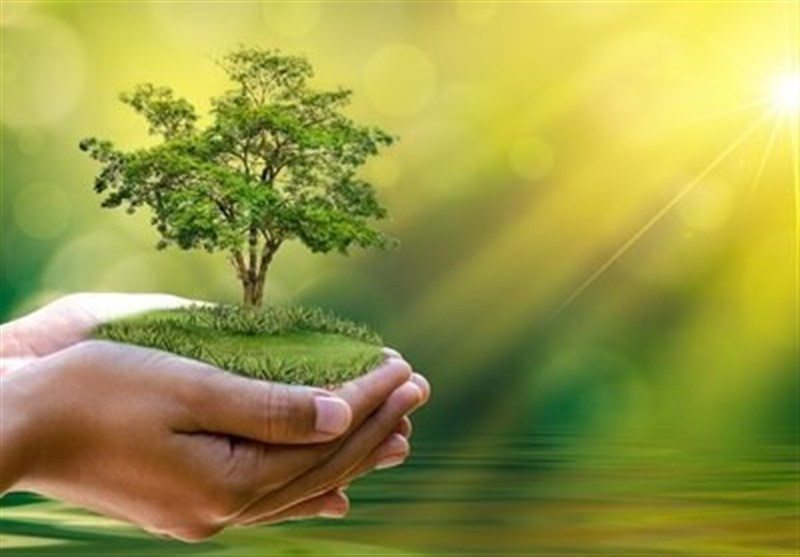 اعطای نشان سبز به فعالان متعهد به حفظ محیط زیست در کیش / اخبار جزایر خلیج فارس - اخبار استانها