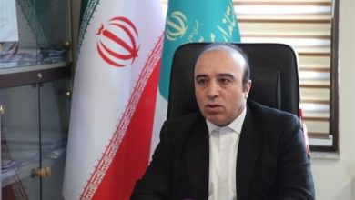 اختصاص 1300 میلیارد تسهیلات دولت به خوداشتغالی در اردبیل / اخبار اردبیل - اخبار استانها