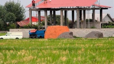 تخریب 339 بنای غیرمجاز در اراضی کشاورزی بابل / اخبار مازندران - اخبار استانها