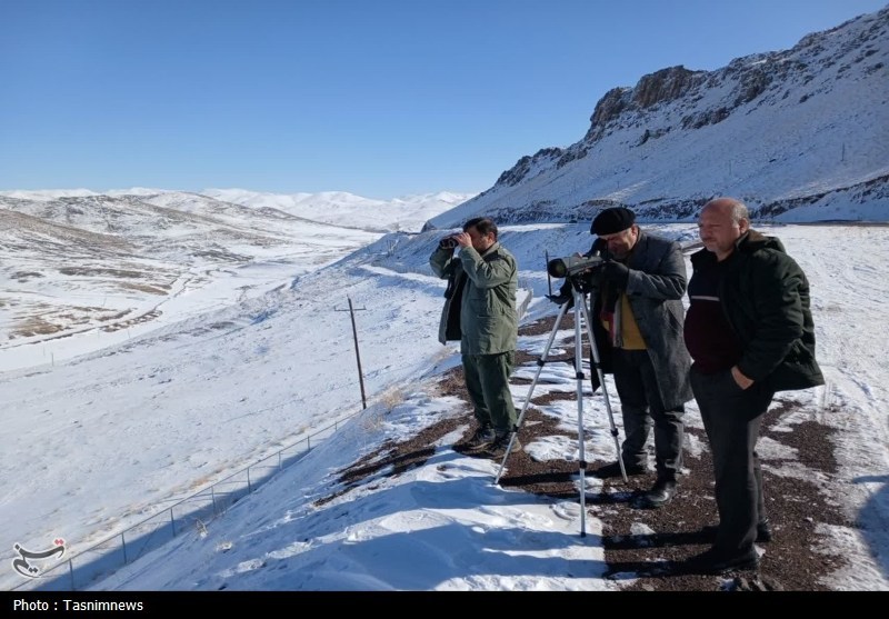 آغاز پایش زمستانی پرندگان آبزی در زنجان / اخبار زنجان - اخبار استانها