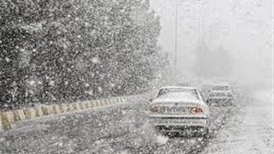 آمادهباش کامل استان کرمان در پی بارش گسترده باران و برف / اخبار کرمان - اخبار استانها