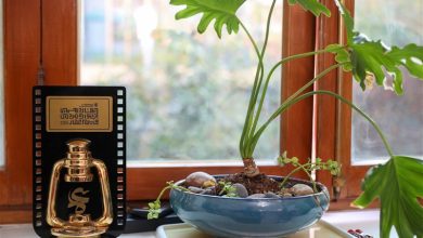 سه اثر هنرمندان لرستانی به مسابقه جشنواره فیلم عمار راه یافت / اخبار لرستان - اخبار استانها