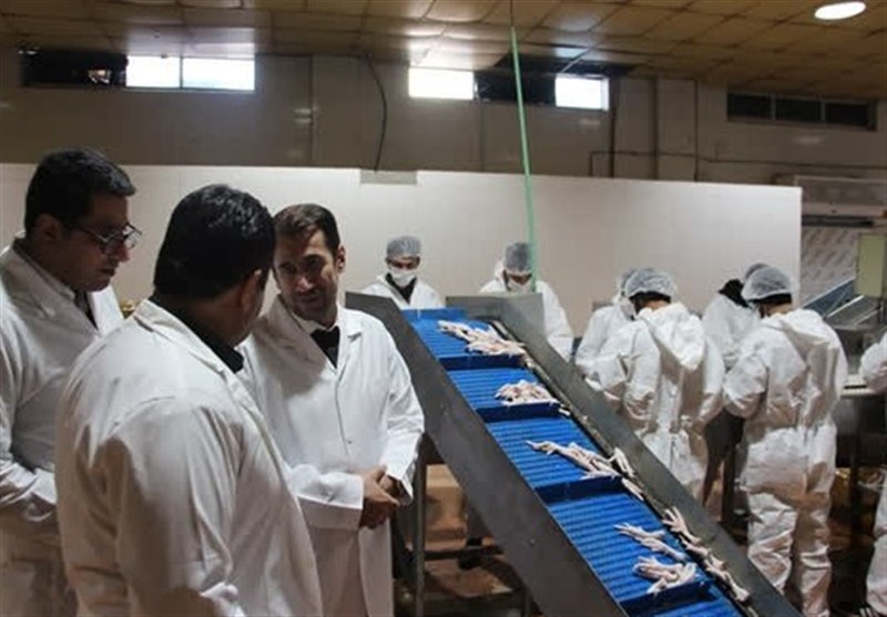 رشد قابل توجه صادرات محصولات دامی آذربایجان شرقی در 9 ماهه 1404 / اخبار آذربایجان شرقی - اخبار استانها