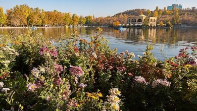ثبت جهانی ائلگولی تبریز در مسیر دیپلماسی / اخبار آذربایجان شرقی - اخبار استانها