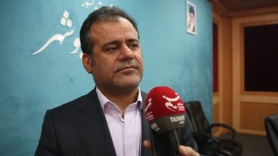 بیش از 23 هزار تن برنج ملوانی وارد استان بوشهر شد+فیلم / اخبار بوشهر - اخبار استانها