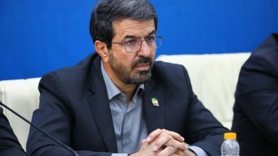 جذب منابع ملی و تکمیل پروژههای حیاتی استان با جدیت دنبال میشود / اخبار همدان - اخبار استانها