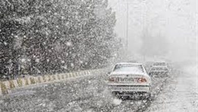 روایت یک امدادرسانی حیاتبخش/ از کولاک تا بازگشت آرامش+فیلم / اخبار مازندران - اخبار استانها