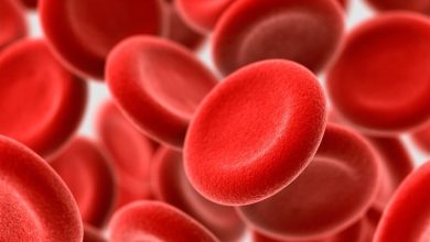 کمخونی فقر آهن تهدیدی خاموش برای دانشآموزان / اخبار فارس - اخبار استانها