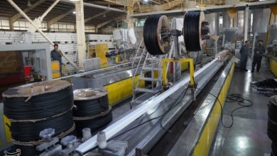 تغییر ریل اقتصادی در خلیجفارس؛ رمزگشایی از بلوغ صنعتی قشم / اخبار جزایر خلیج فارس - اخبار استانها