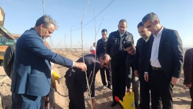 برگزاری آیین نهالکاری یادبود شهدای مقاومت در شهرستان مهریز / اخبار یزد - اخبار استانها