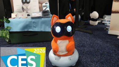 رونمایی از رباتهای همراه و بامزه ژاپنی در نمایشگاه CES 2026 / ربات , نمایشگاه CES , فناوری ژاپن , هوش مصنوعی , استارتآپ