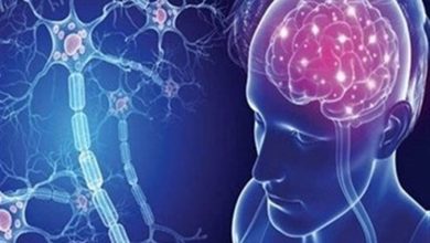 ضرورت معاینات منظم دندانپزشکی برای بیماران مبتلا به اماس / اخبار فارس - اخبار استانها