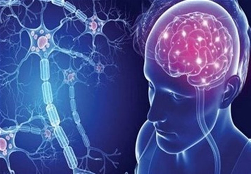 ضرورت معاینات منظم دندانپزشکی برای بیماران مبتلا به اماس / اخبار فارس - اخبار استانها