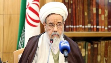 آثار آیتالله صافی گلپایگانی در دفاع از مهدویت مورد توجه قرار بگیرد / اخبار قم - اخبار استانها