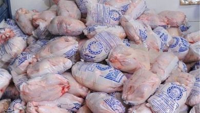 تامین مرغ ماه رمضان و نوروز در لرستان / اخبار لرستان - اخبار استانها