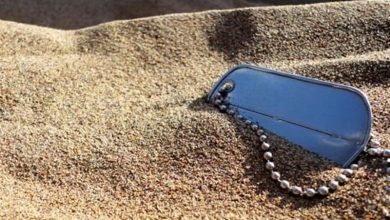 یادداشت|کردستان و رشادت 5536 شهید؛ میراثی از فداکاری و ایثار / اخبار کردستان - اخبار استانها