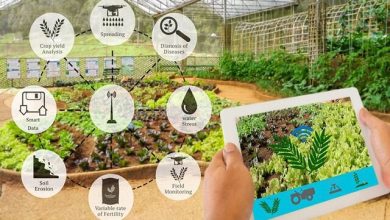 اینترنت اشیاء راهحل تحول کشاورزی ایران / اینترنت اشیاء , کشاورزی هوشمند , توسعه پایدار , فناوری , مدیریت منابع