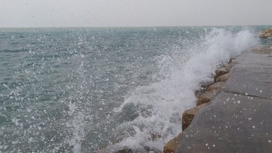 وزش بادهای جنوبی از اواخر جمعه سواحل بوشهر را مواج میکند / اخبار بوشهر - اخبار استانها