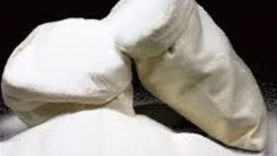 انبار احتکار 30 تُن شکر در بندپی بابل کشف شد / اخبار مازندران - اخبار استانها