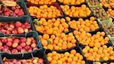 کیفیت در ذخیرهسازی میوه شب عید اولویت اول است / اخبار اردبیل - اخبار استانها