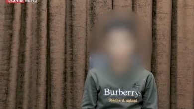 اغتشاشگر دستگیر شده: رضا پهلوی ملعون است / اخبار همدان - اخبار استانها