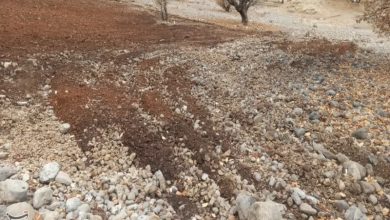 احیای 292 میلیارد ریال اموال عمومی در اهواز / اخبار خوزستان - اخبار استانها