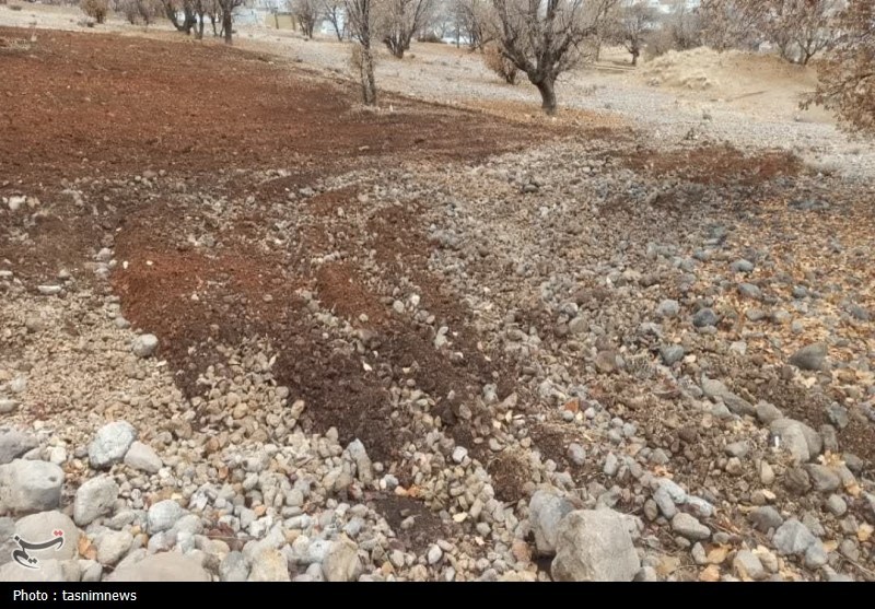 احیای 292 میلیارد ریال اموال عمومی در اهواز / اخبار خوزستان - اخبار استانها