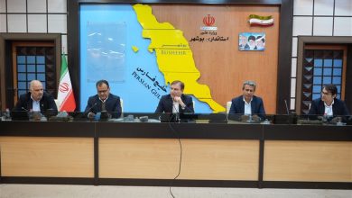 استفاده از ظرفیت تعاونیهای مرزنشینان بوشهر در تأمین کالاها / اخبار بوشهر - اخبار استانها