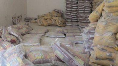 کشف 40 تن برنج احتکارشده در دشتستان / اخبار بوشهر - اخبار استانها