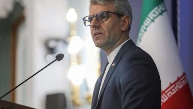 بقایی: ثبات خلیج فارس مستقیماً با امنیت ملی ایران گره خورده است / اخبار هرمزگان - اخبار استانها