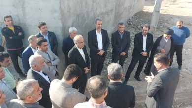 تسریع تکمیل پروژهها از اولویتهای اصلی بنیاد مسکن استان بوشهر / اخبار بوشهر - اخبار استانها