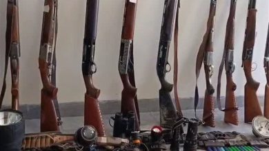 دستگیری 12 شکارچی غیرمجاز در زیستگاههای اسکو / اخبار آذربایجان شرقی - اخبار استانها