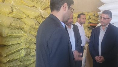 مشکلات لنجداران بوشهری به سران قوا منتقل و پیگیری میشود / اخبار بوشهر - اخبار استانها