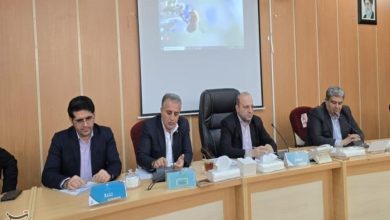 14 همت تسهیلات به پروژههای اقتصادی کهگیلویه و بویراحمد اختصاص یافت / اخبار کهگیلویه و بویراحمد - اخبار استانها