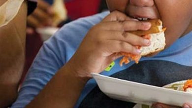 فستفود و نوشیدنیهای قندی عامل افزایش چاقی کودکان / اخبار فارس - اخبار استانها