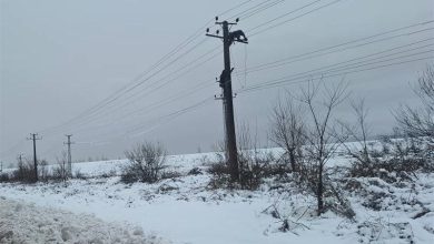 کاهش مشترکان بدون برق از 70 هزار به حدود 5 هزار مشترک ناشی از بارش برف / اخبار گیلان - اخبار استانها