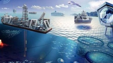 گشایش نمایشگاه ملی فرصتهای دریاپایه خلیج فارس و مکران در بندرعباس / اخبار هرمزگان - اخبار استانها