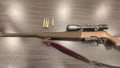 کشف 8 قبضه سلاح جنگی و شکاری در گرگان / اخبار گلستان - اخبار استانها