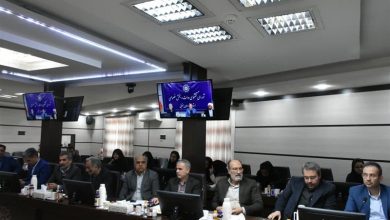 واگذاری زمین برای شهرک تخصصی زرشک و عناب در خراسان جنوبی نهایی شد / اخبار خراسان جنوبی - اخبار استانها