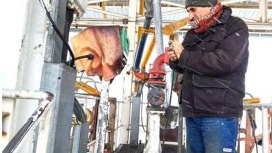 سوخت مورد نیاز استان یزد تامین شد / اخبار یزد - اخبار استانها