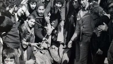 چرا مردم ایران آگاهانه رژیم پهلوی را ساقط کردند؟ / اخبار قم - اخبار استانها