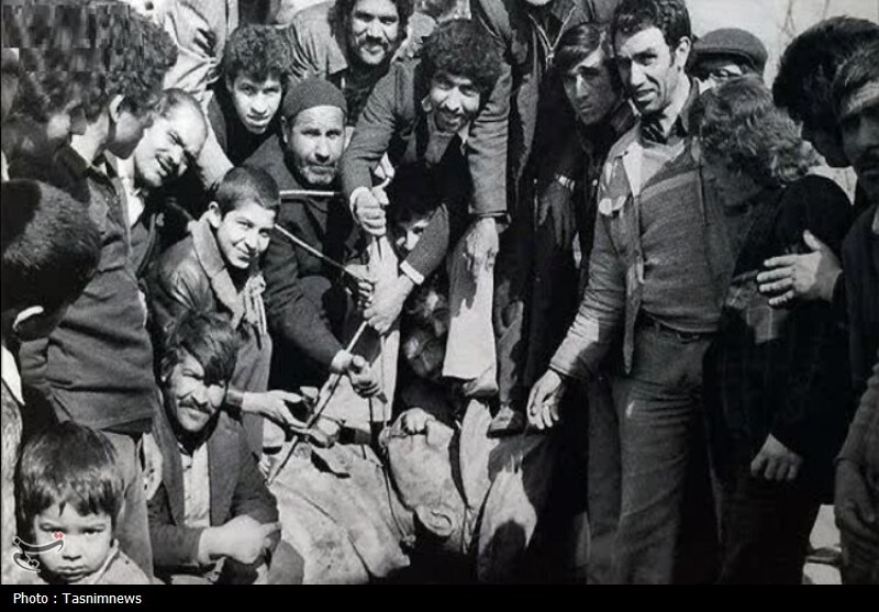 چرا مردم ایران آگاهانه رژیم پهلوی را ساقط کردند؟ / اخبار قم - اخبار استانها