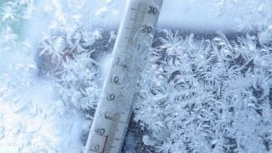 بهمن ماه فارس بارانی خواهد بود / اخبار فارس - اخبار استانها