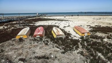 کاهش تراز آب دریای خزر؛ وضعیت بنادر شمال نگرانکننده شد / اخبار گلستان - اخبار استانها