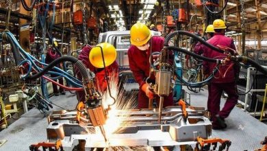 خیز بلند صنعت در قشم؛ عبور از پیله تجارت به سمت تولید پایدار / اخبار جزایر خلیج فارس - اخبار استانها