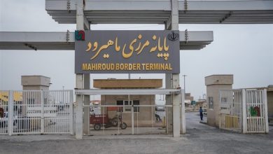 صدور 389 فقره گواهی بهداشتی گیاهی برای صادرات محصولات کشاورزی / اخبار خراسان جنوبی - اخبار استانها